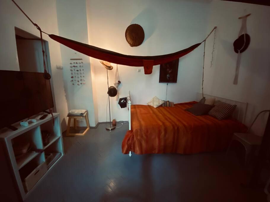 Apartmán Playground Kluž Exteriér fotografie