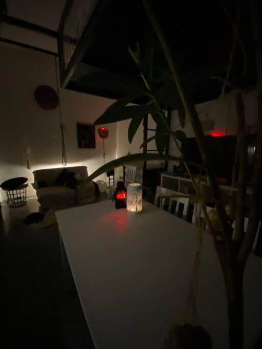 Apartmán Playground Kluž Exteriér fotografie