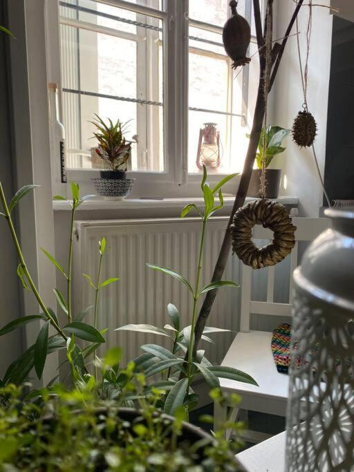 Apartmán Playground Kluž Exteriér fotografie